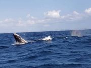 ブリーチング＆ブロー