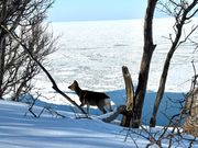 本当に素晴らしい眺め