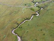 気球からのマサイマラの大草原