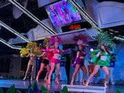 ラファインディナーショー