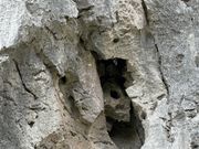 宇宙人に会える場所