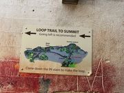 ここでアドバイス通り左←を選びました！