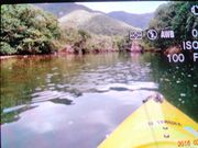 カヌーでマングローブの中をいく