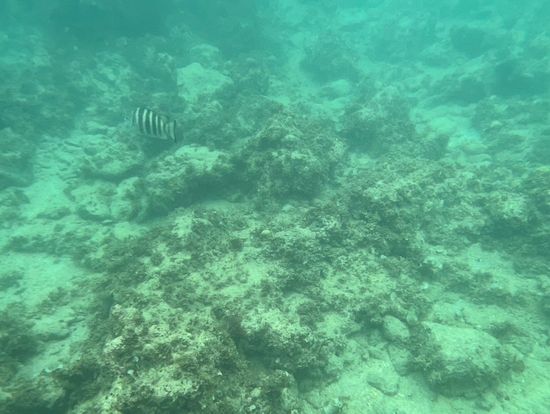 アクアウォーク