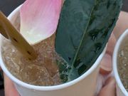 モットホイアンハーブティー