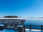 白鳥が遊ぶ濤沸湖　