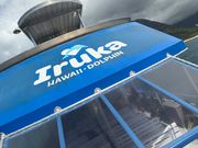 イルカ　ハワイ　ドルフィン