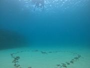 デート旅行でシュノーケリング体験