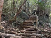 辻峠〜太鼓岩へ最後の急登