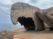 リマーカブルロックス