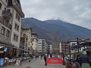 ティラーノは30分間でした