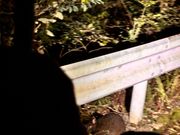 いましたよ‼️