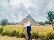 プロカメラマン小林さんに撮影頂いたもの