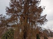 開館前の周辺散策