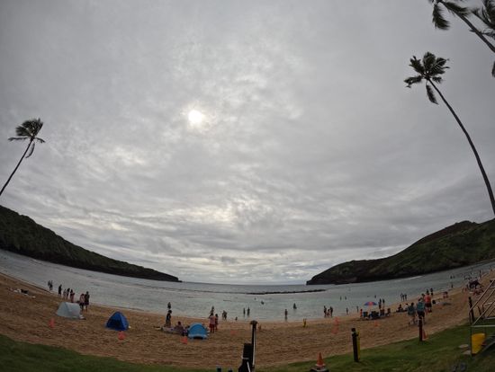 水中だけでなくビーチでの集合写真も撮ってくださりました！