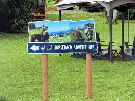 入り口から登ったクラブハウスから右に曲がった丸太小屋の前が集合場所です。