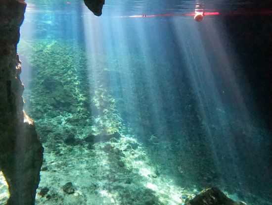 グラン・セノーテの光のカーテン