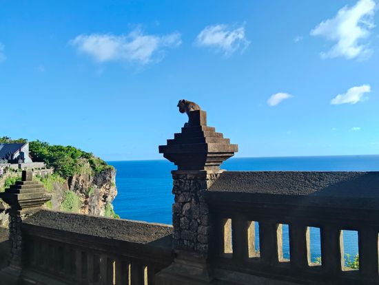 こちらの猿には要注意です