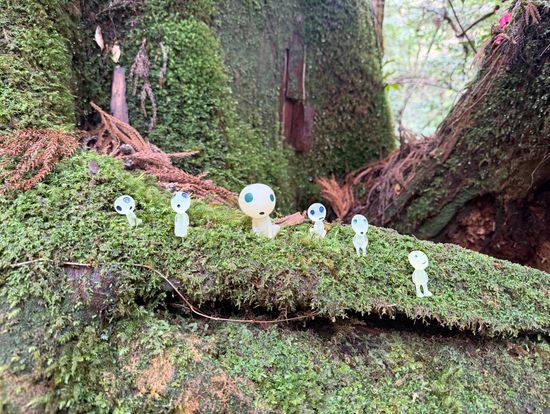 ガイドさんが置いてくださったフィギュア