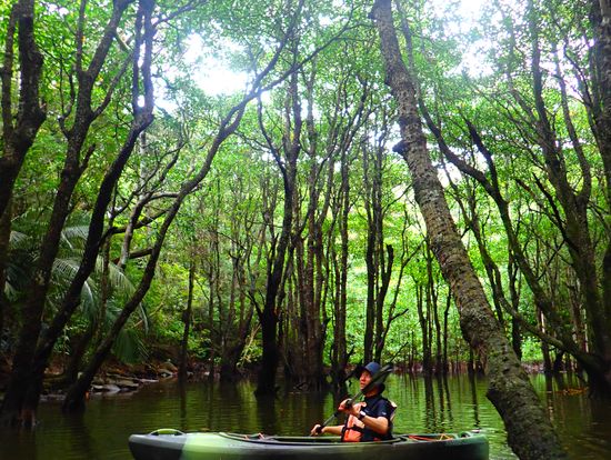最強チルタイム