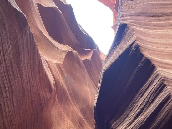 ロウ・アー・アンテロープ,