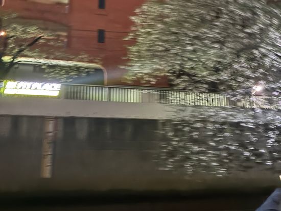 綺麗な桜を堪能しました