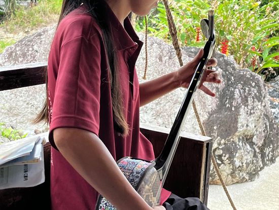 水牛車で島巡り三線の演奏も