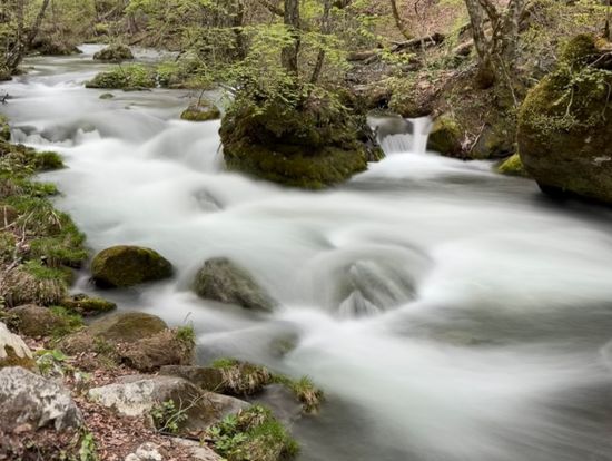 長時間露光で流れがステキに！