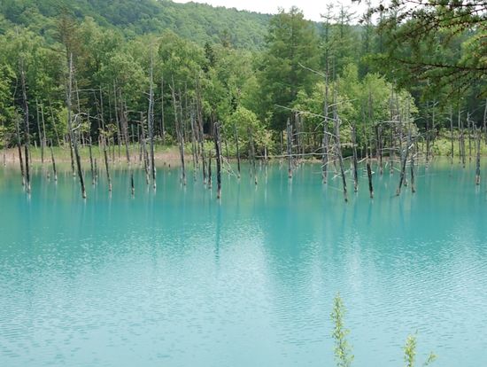 青い池