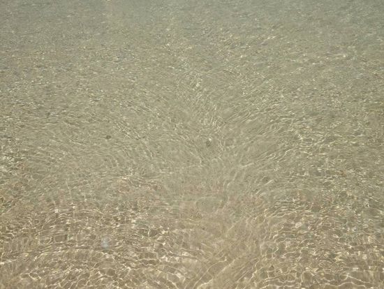 透き通った海