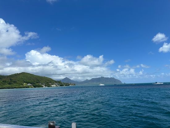 全然酔わない穏やかな海