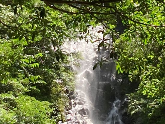 原生林を歩いて、フナンギョの滝