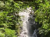 原生林を歩いて、フナンギョの滝