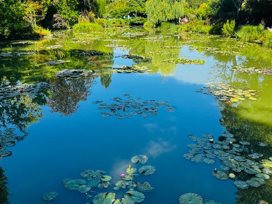 モネの庭園ジヴェルニー＆フラゴナール香水博物館 半日観光ツアー＜4