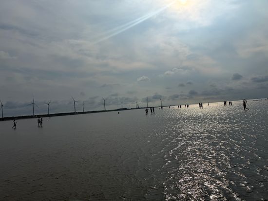 新幹線で行く！台中観光ツアー 宮原眼科＋彩虹眷村＋鹿港＋高美湿地