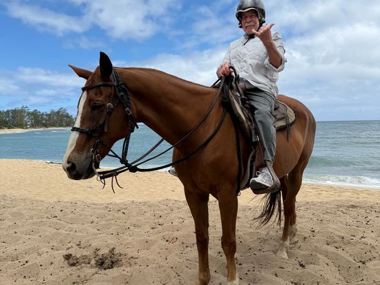 North Shore Beachfront Horseback Ride & Haleiwa Sightseeing Tour
