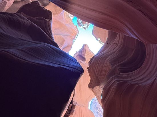 ルート66を辿る！グランドキャニオン国立公園＆アンテロープ＆恐竜の
