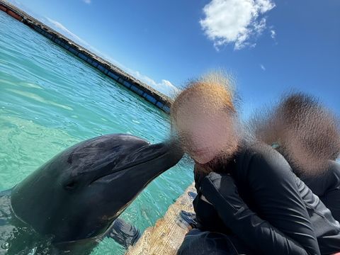 参加者のレビュー一覧) イルカと触れ合う (海の生き物と泳ぐ／観察する