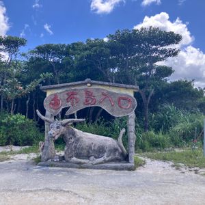 参加者のレビュー一覧) 水牛車観光 | 石垣島・竹富島の観光