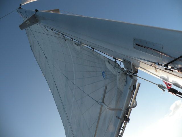 All Reviews) Page 255) Waikiki Boat & Sailing Cruises