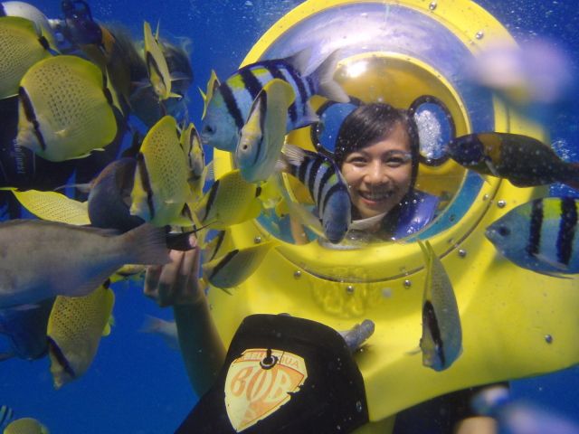 All Reviews) Page 239) Marine Life Tours & Cruises, Oahu