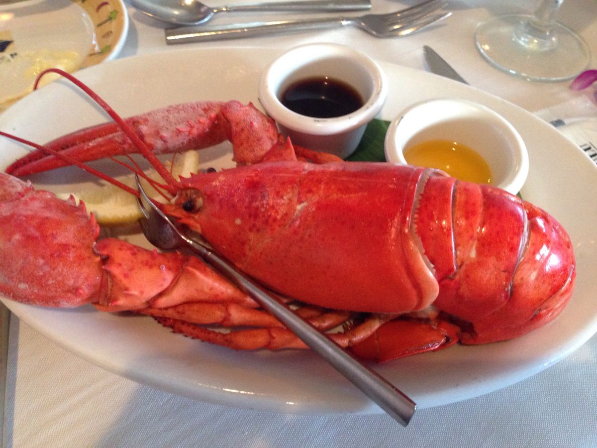 ナイトクルーズ All Reviews) Page 67) For Adults (Sunset Cruise), Oahu tours