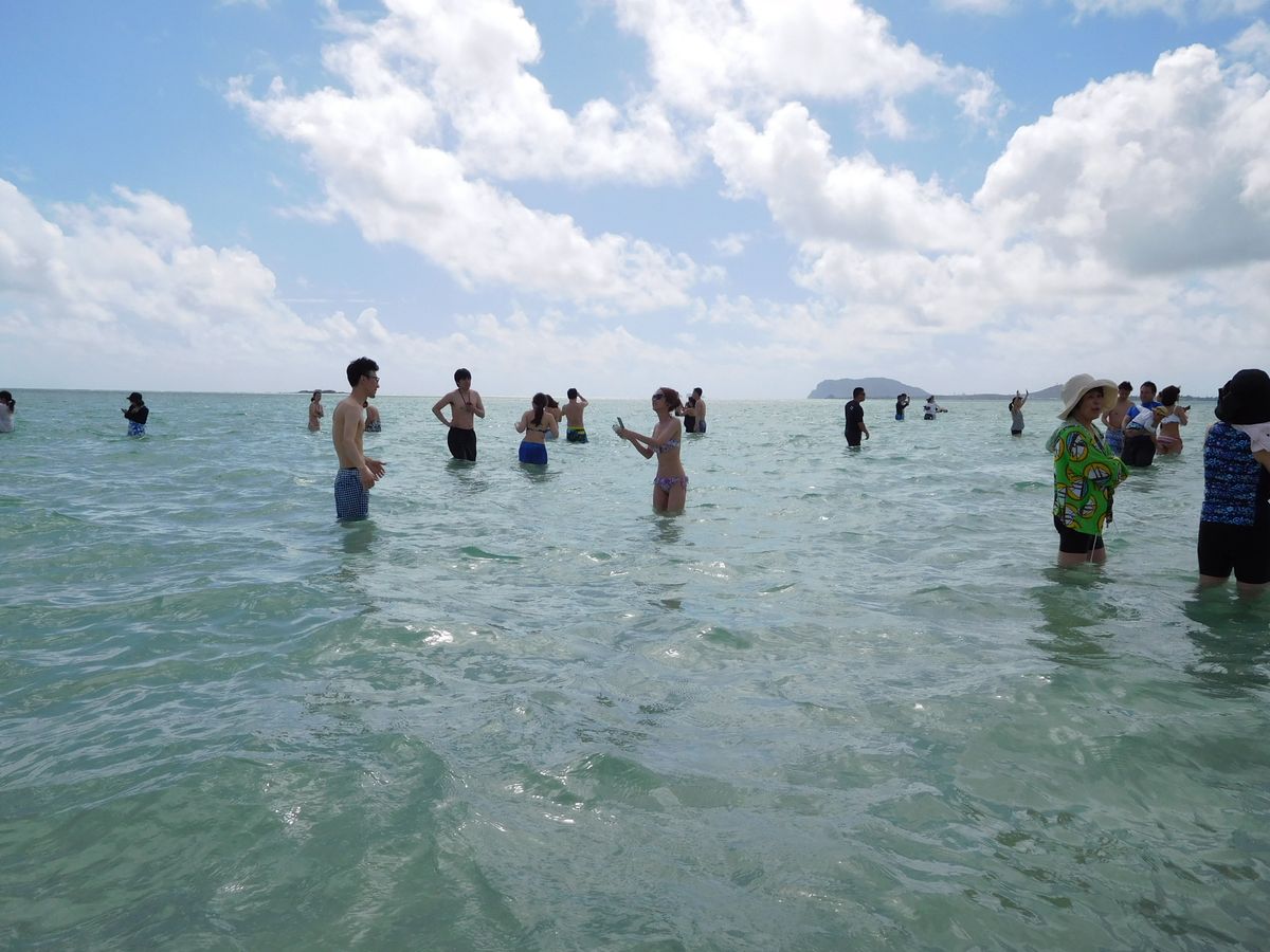 Page 112) Things to Do in Oahu in 2026 – Tours & Activities