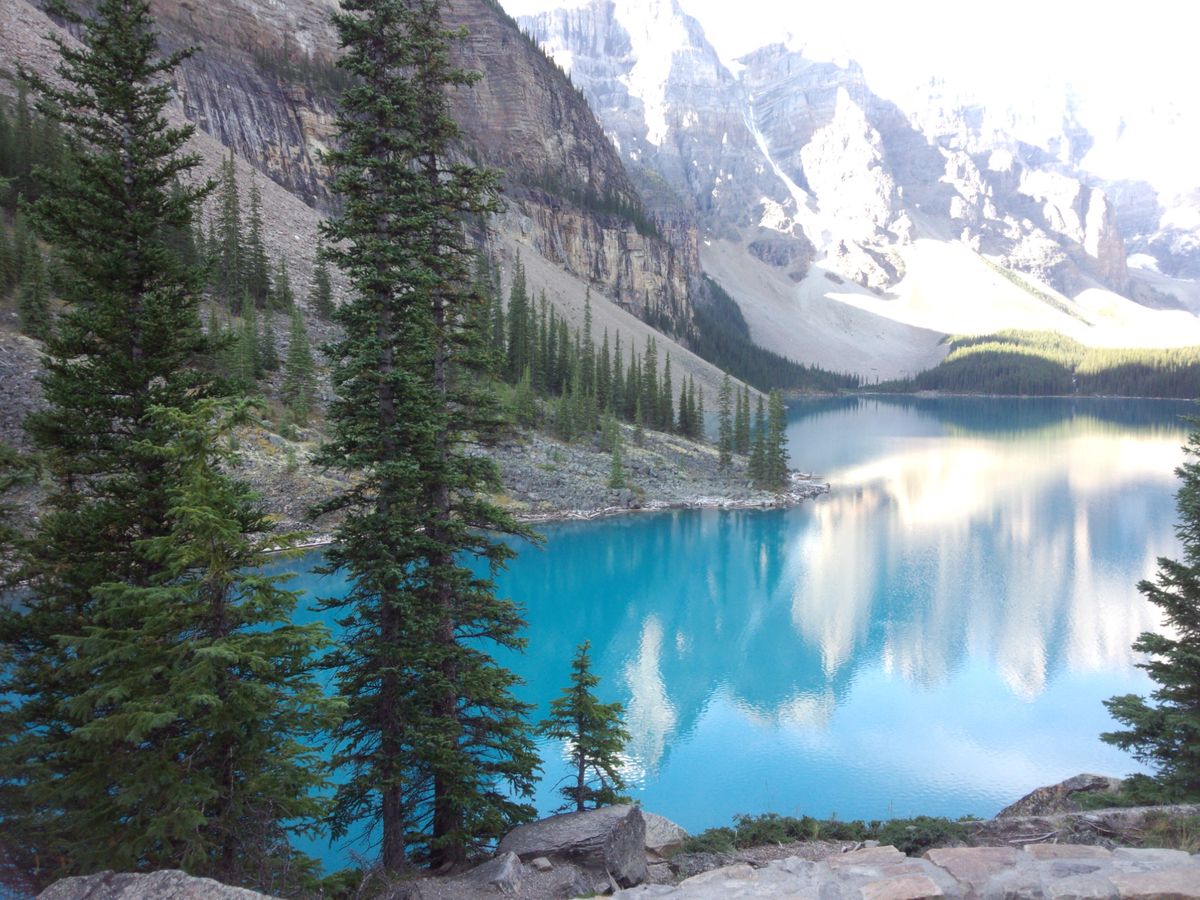 世界遺産カナディアンロッキー 1日観光ツアー ヨーホー国立公園