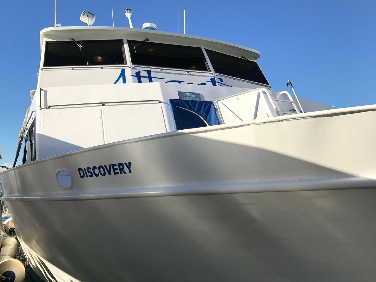 All Reviews) Page 175) Marine Life Tours & Cruises, Hawaii