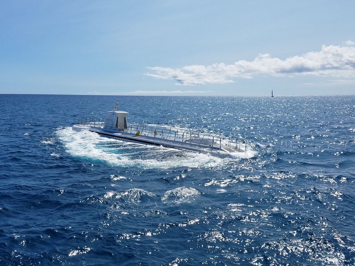 All Reviews) Page 130) Marine Life Tours & Cruises, Oahu