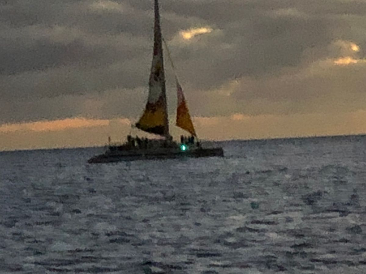 WCS ハワイ　サプライセット WCS2024ホノルル大会のサプライ特集｜PTCGL News