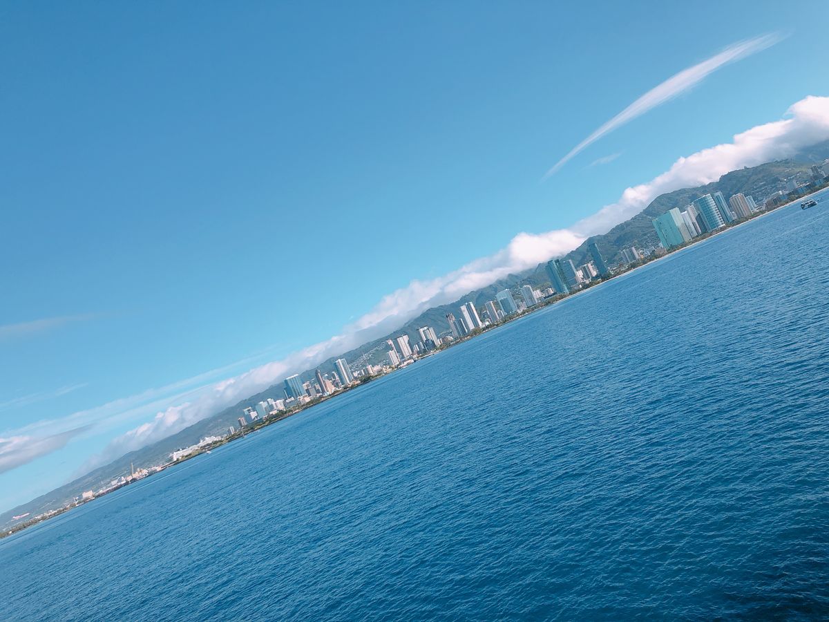 All Reviews) Page 59) Marine Life Tours & Cruises, Oahu