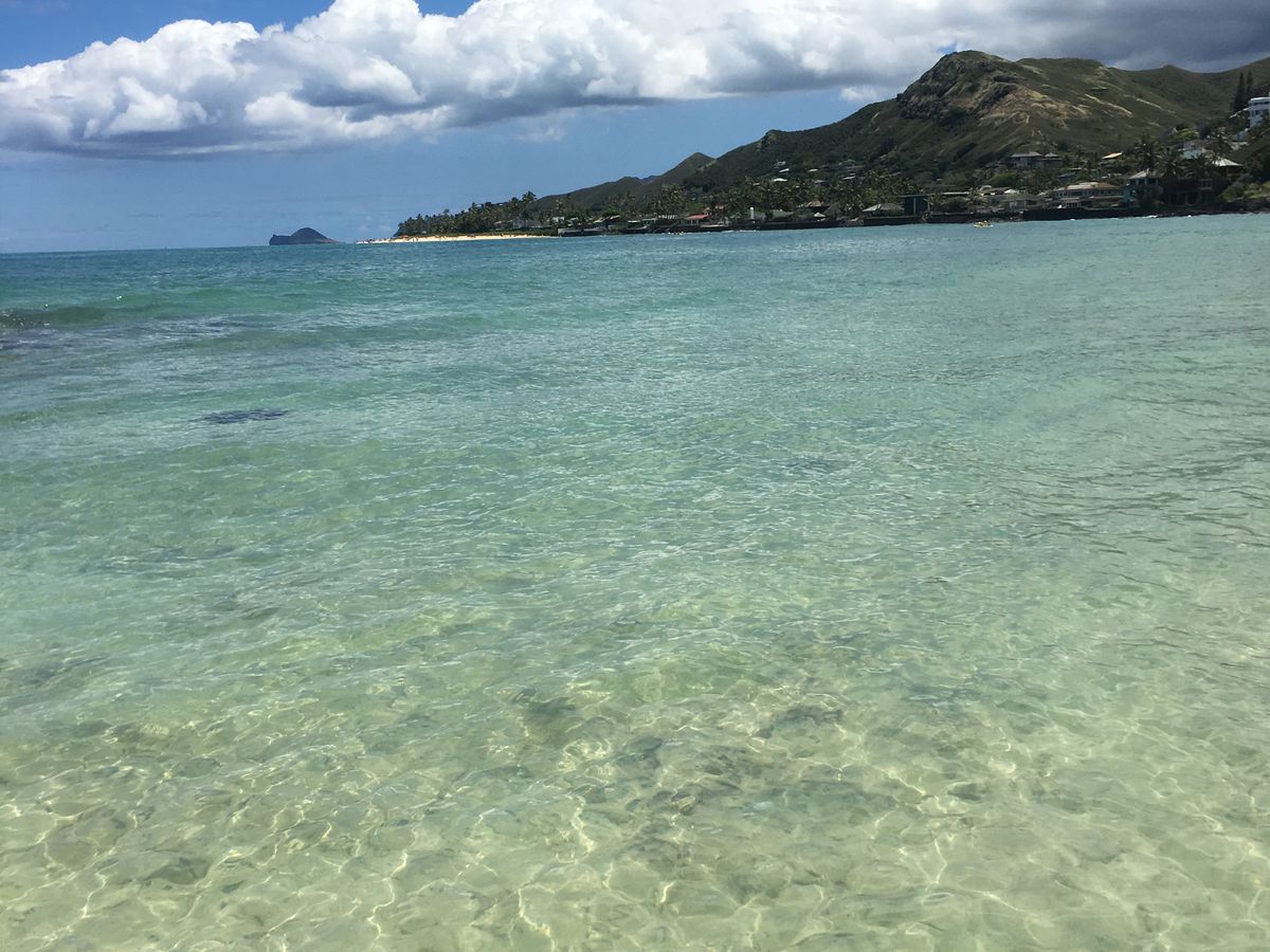All Reviews) Page 92) Watersports & Ocean Adventures, Hawaii All Reviews) Page 92) Watersports & Ocean Adventures, Hawaii