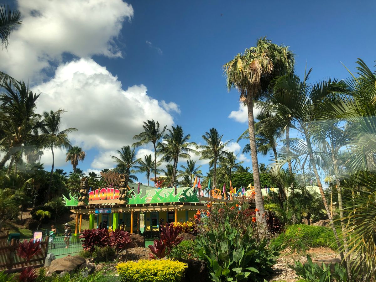 Page 212) Things to Do in Oahu in 2026 – Tours \u0026 Activities |  HawaiiActivities.com, image size:1200x900